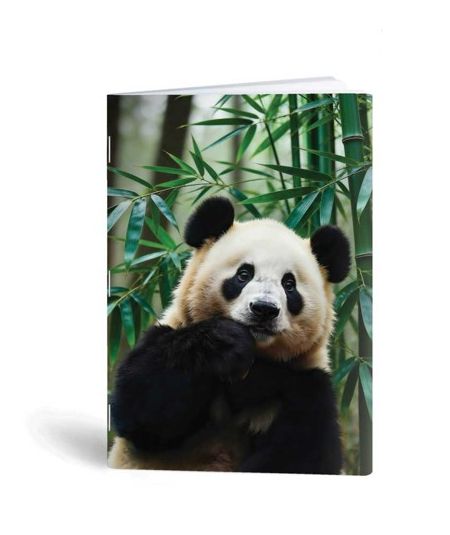 DAVID JONES RUKSAK ŽENSKO CRVENI-20P-6276-2-RED