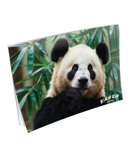 DAVID JONES RUKSAK ŽENSKO CRVENI-20P-6276-2-RED