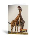 Zvezek Rucksack Only - safari, 52 listov - slika 3