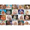 Puzzle EUROGRAPHICS - hiša iz medenjakov, 550 kosov - slika 3