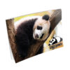 Risalni blok - A3, 20 listov, Panda